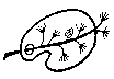 rehArtLea.gif