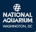 dc aqua.jpg