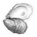 oyster.jpg